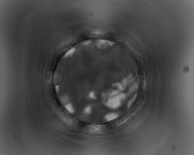 X0000100750711200807171412