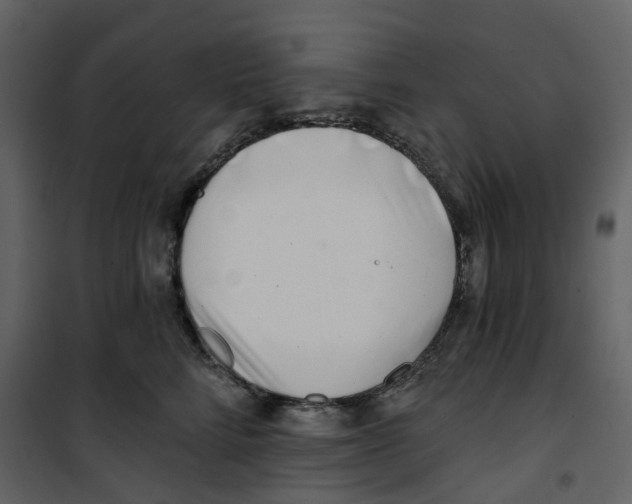 X0000100750712200807171412
