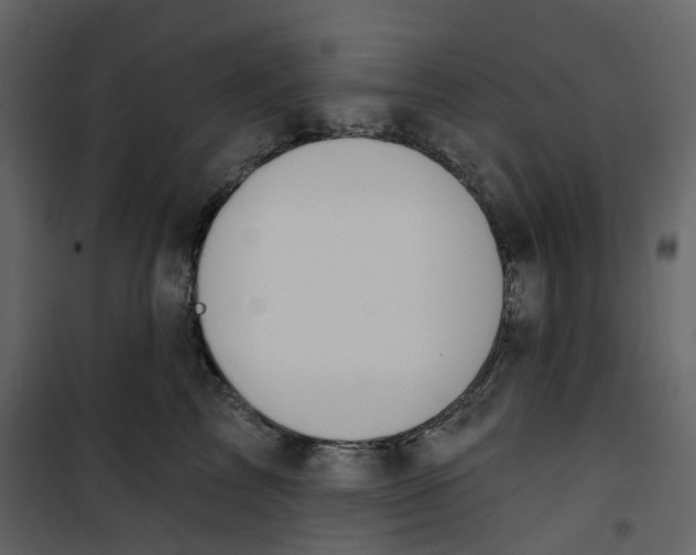X0000100750713200807171412