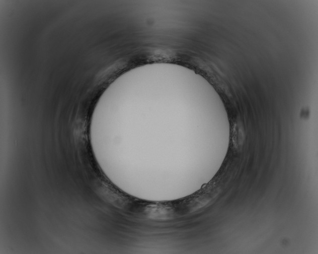 X0000100750714200807171412