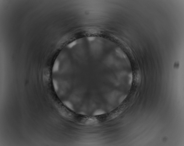 X0000100750715200807171412