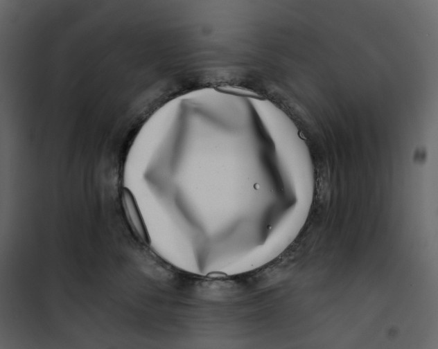 X0000100750716200807171411