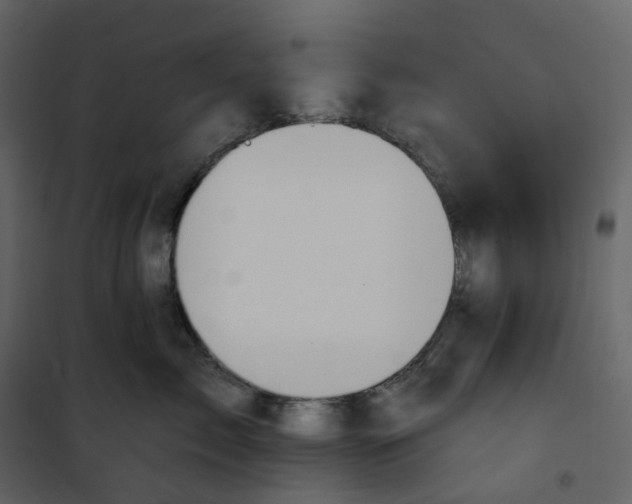 X0000100750717200807171411
