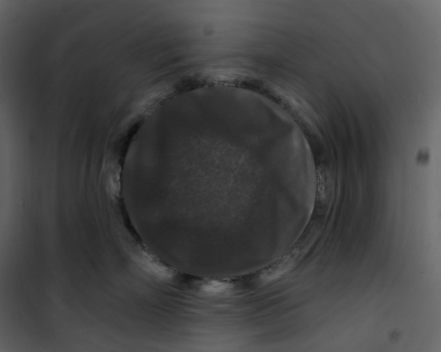 X0000100750718200807171411
