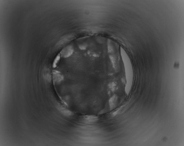X0000100750719200807171411