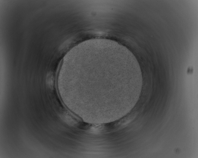 X0000100750720200807171411