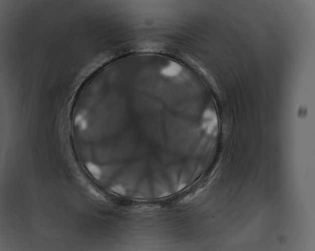 X0000100750721200807171411