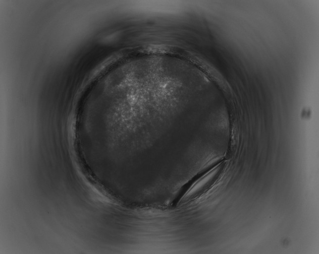 X0000100750722200807171411
