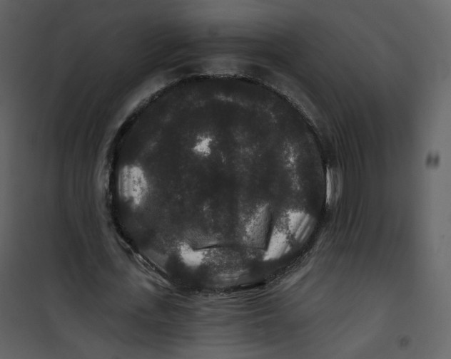 X0000100750723200807171411