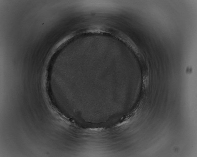 X0000100750724200807171411