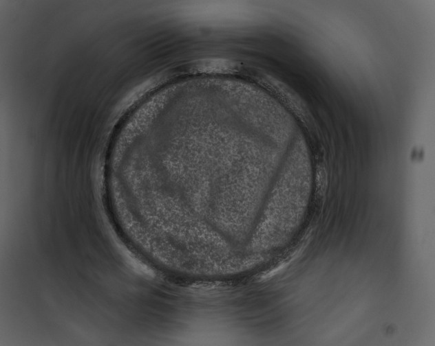 X0000100750725200807171411