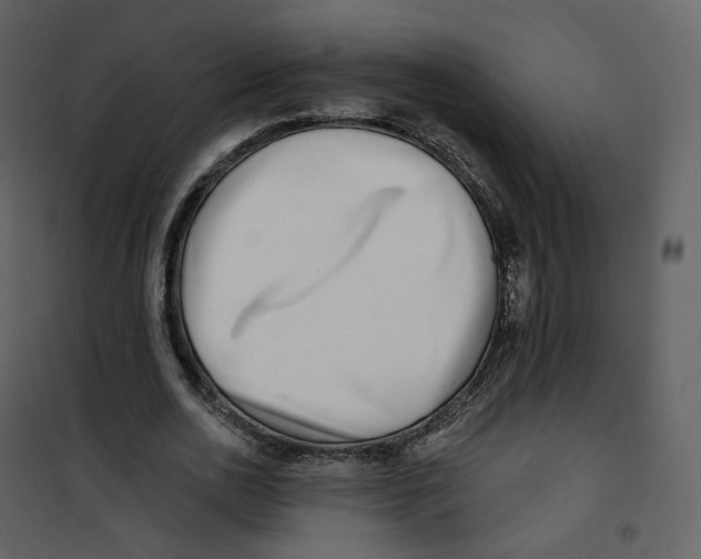 X0000100750726200807171411