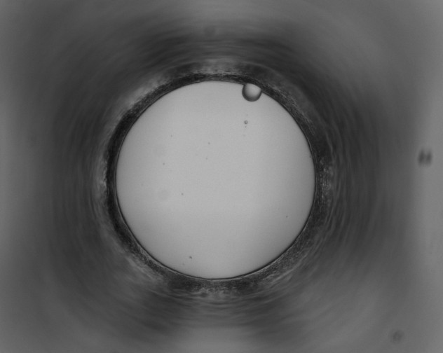 X0000100750727200807171411
