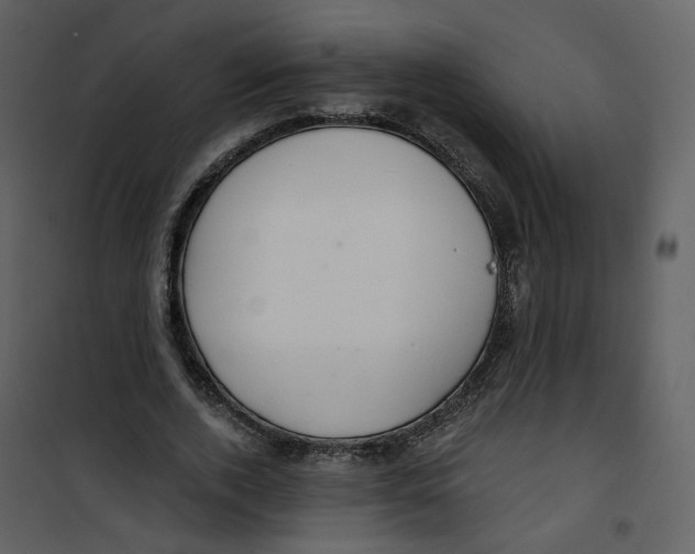 X0000100750728200807171411