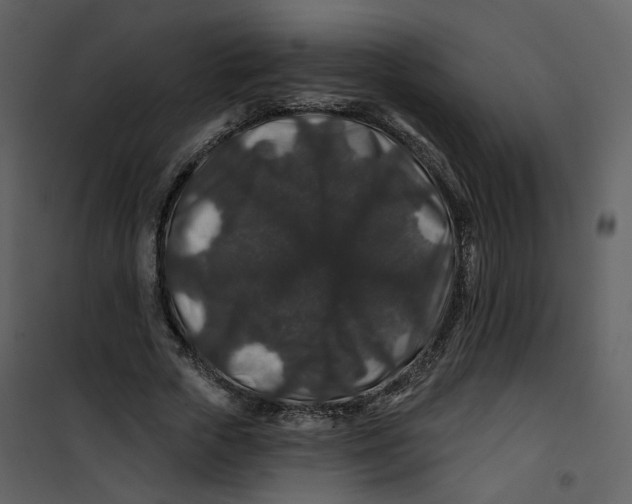 X0000100750729200807171411