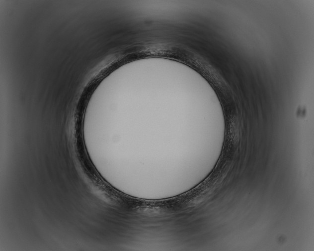 X0000100750730200807171411