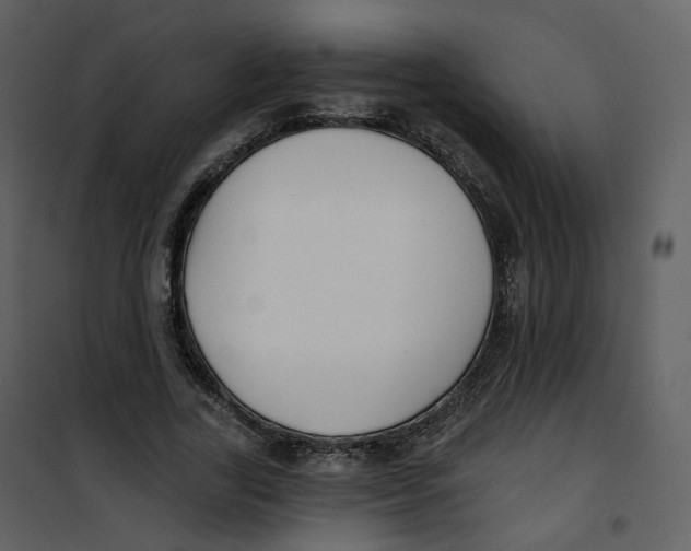 X0000100750731200807171411