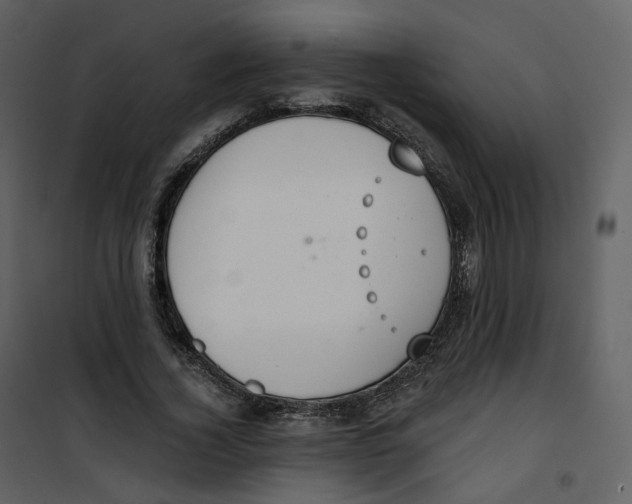 X0000100750732200807171411