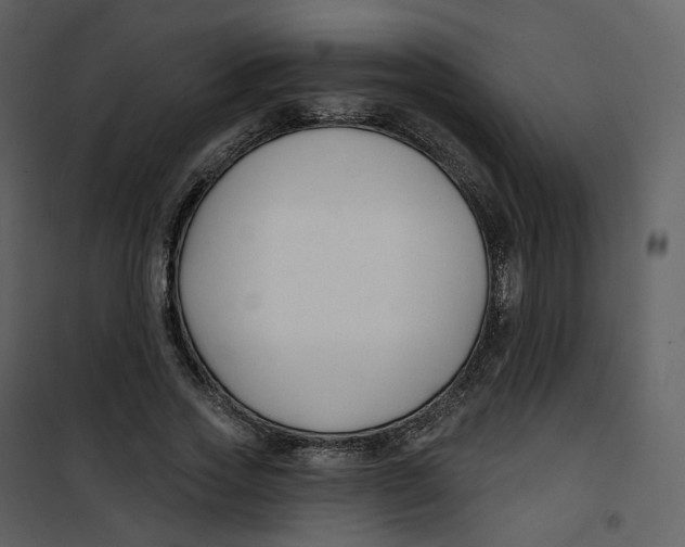 X0000100750733200807171411
