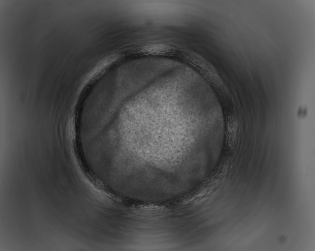 X0000100750734200807171411