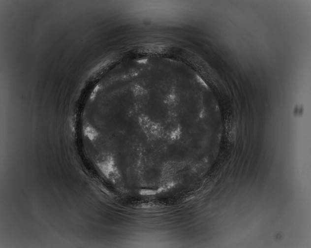 X0000100750735200807171411
