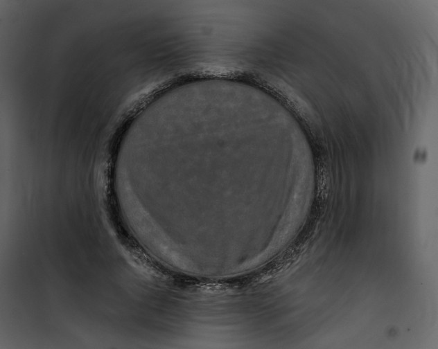 X0000100750736200807171411