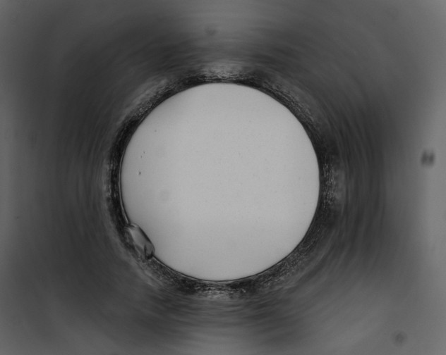 X0000100750738200807171411