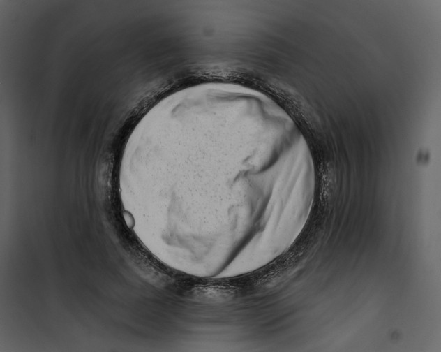 X0000100750739200807171411
