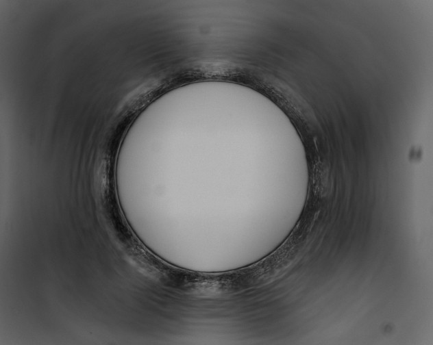 X0000100750740200807171411