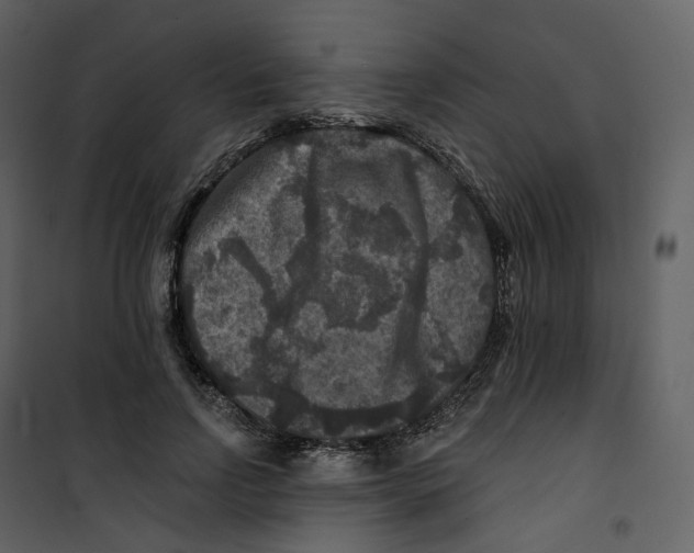 X0000100750742200807171411