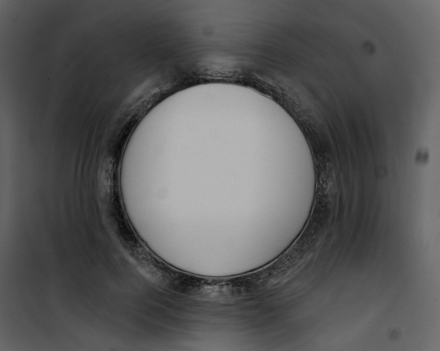 X0000100750744200807171411