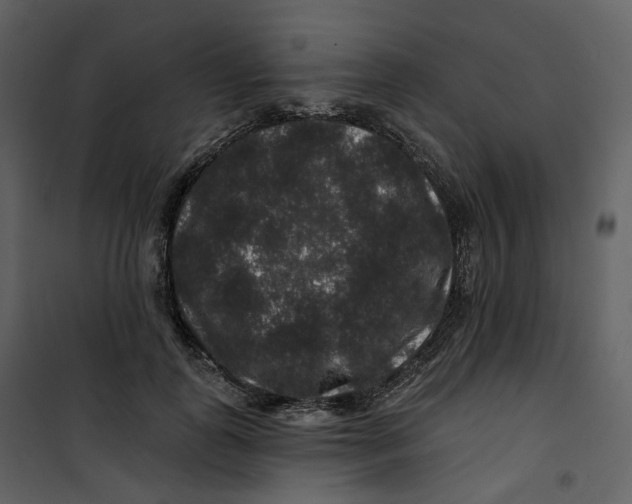 X0000100750747200807171411