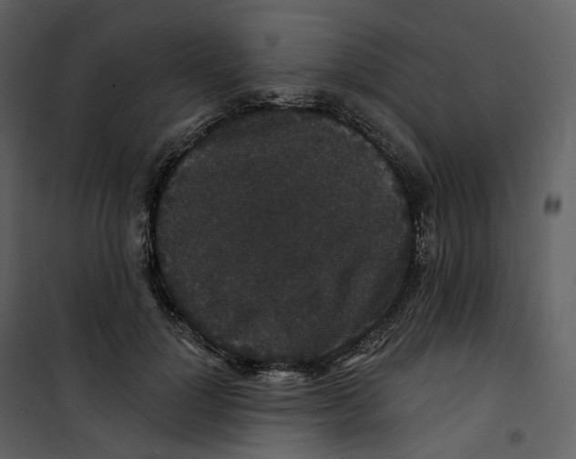 X0000100750748200807171411