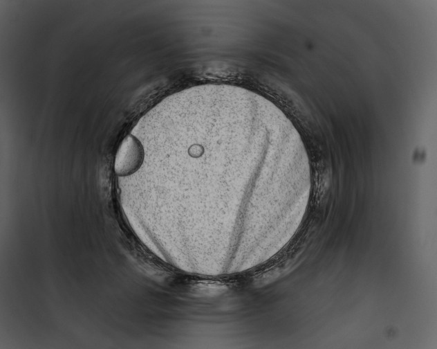 X0000100750749200807171411