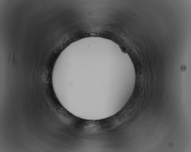 X0000100750750200807171411