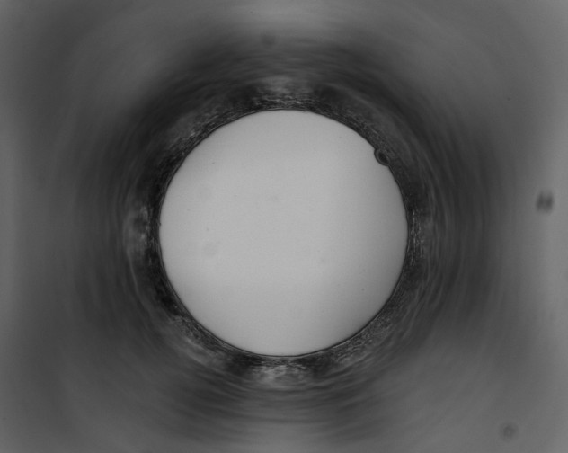X0000100750752200807171411