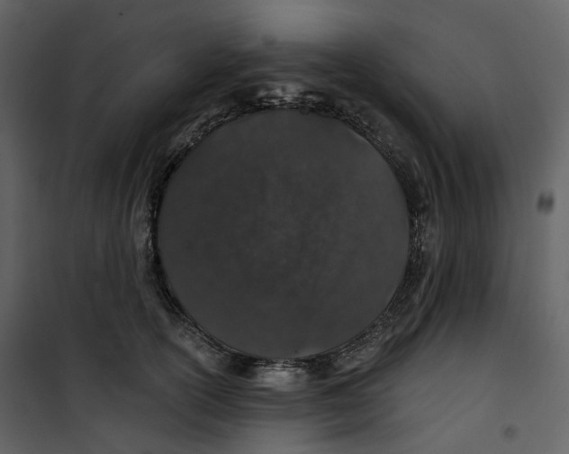 X0000100750754200807171411