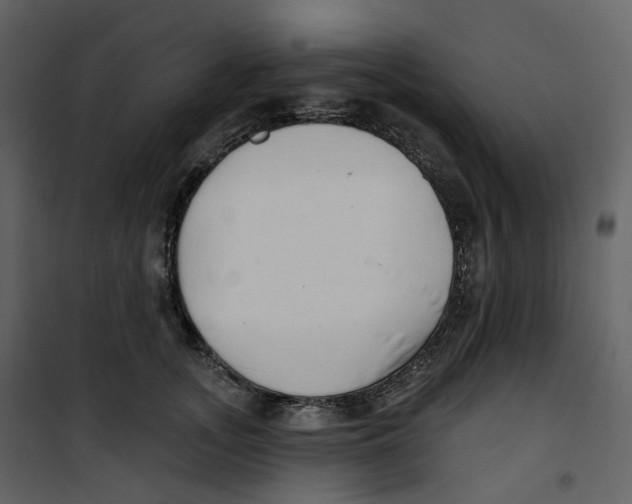 X0000100750755200807171411