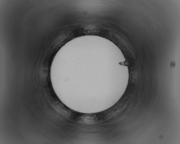 X0000100750756200807171411