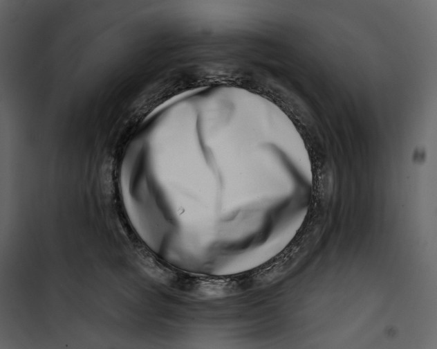 X0000100750757200807171411