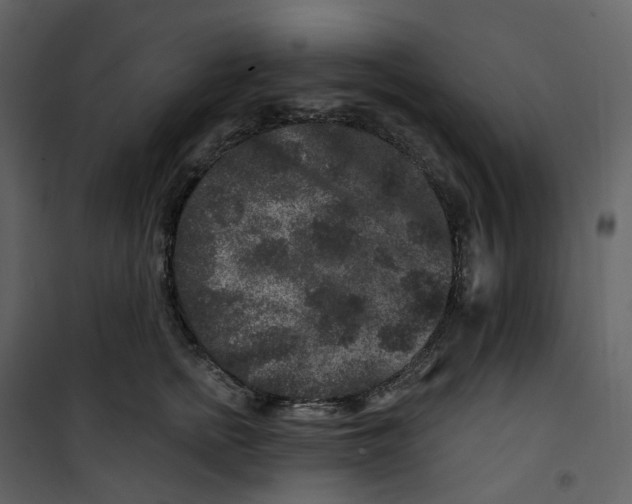 X0000100750758200807171411