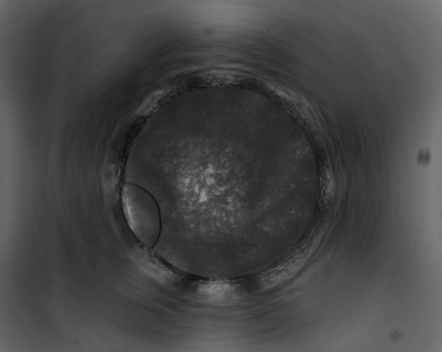 X0000100750759200807171411