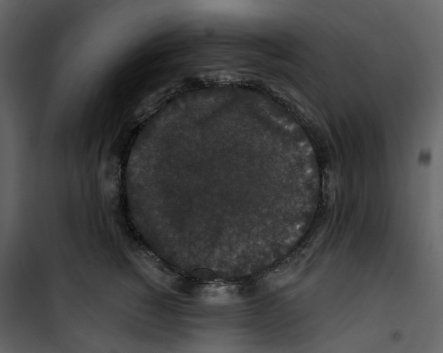 X0000100750760200807171411