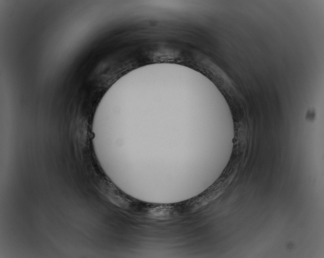 X0000100750761200807171411