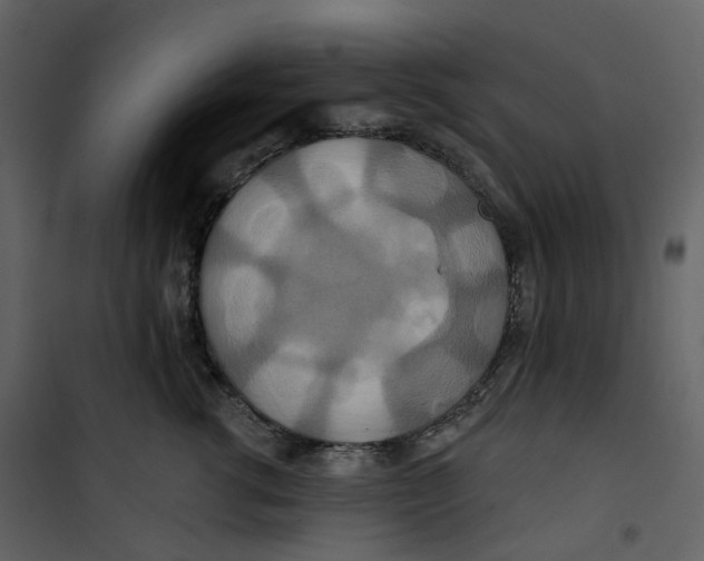 X0000100750762200807171411