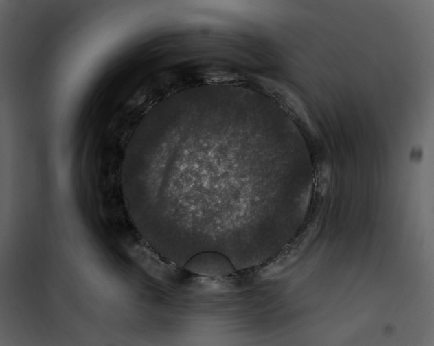 X0000100750763200807171411