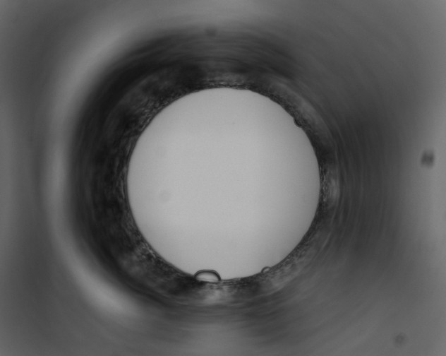 X0000100750764200807171411