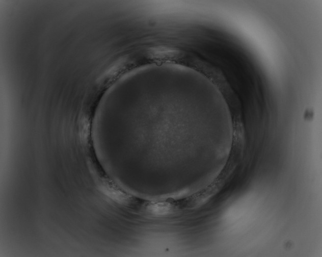 X0000100750767200807171411