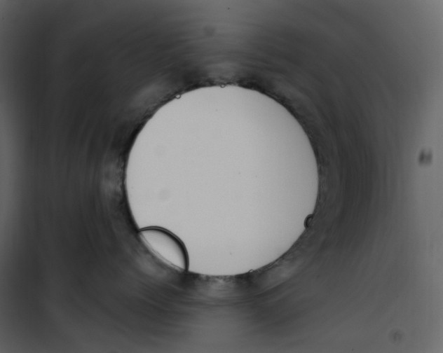 X0000100750768200807171411