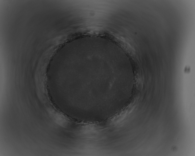 X0000100750769200807171411